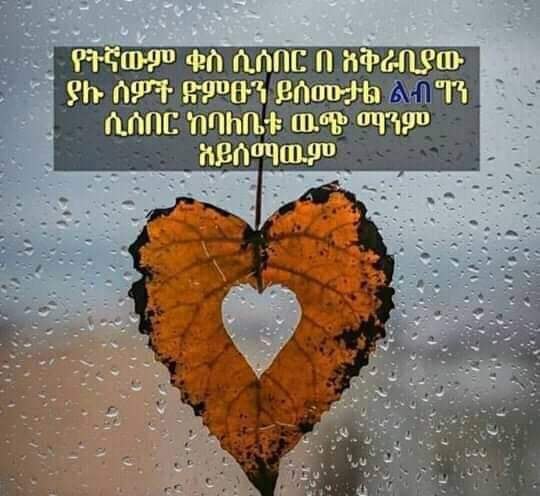 የትናካጠወመ ቁስ ሲሰበር በ ክቅራሬቢየው 61181. ክ16፡1111ጮ7፡16141/8] ሲሰበርክባከቤቱ ዉጭ ጣነም ከይሰጣዉም 